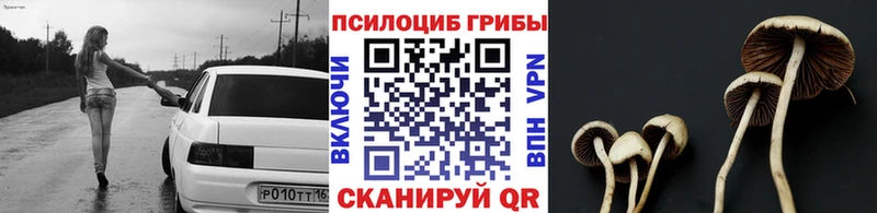 Псилоцибиновые грибы мухоморы  Барабинск 