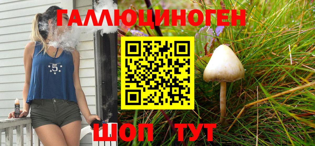Галлюциногенные грибы Psilocybine cubensis Барабинск