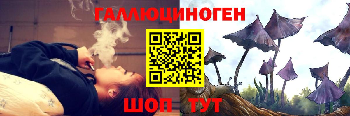 Барабинск  Галлюциногенные грибы Cubensis  Псилоцибиновые грибы Psilocybine cubensis  Вход с VPN 